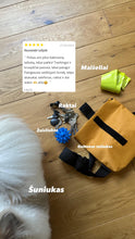Įkelti vaizdą į galerijos rodinį, Geltonas Tašiukas
